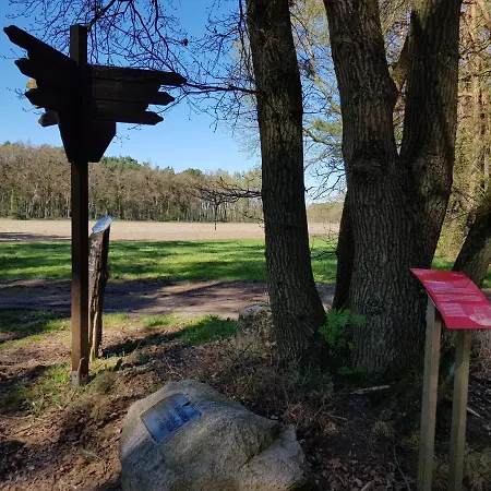 Salinchen アパート バート・ローテンフェルデ